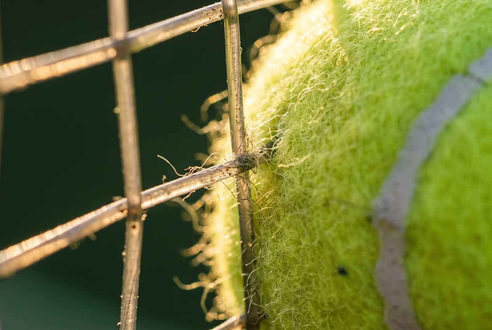 Macro d’un cordage de raquette contre le feutre d’une balle